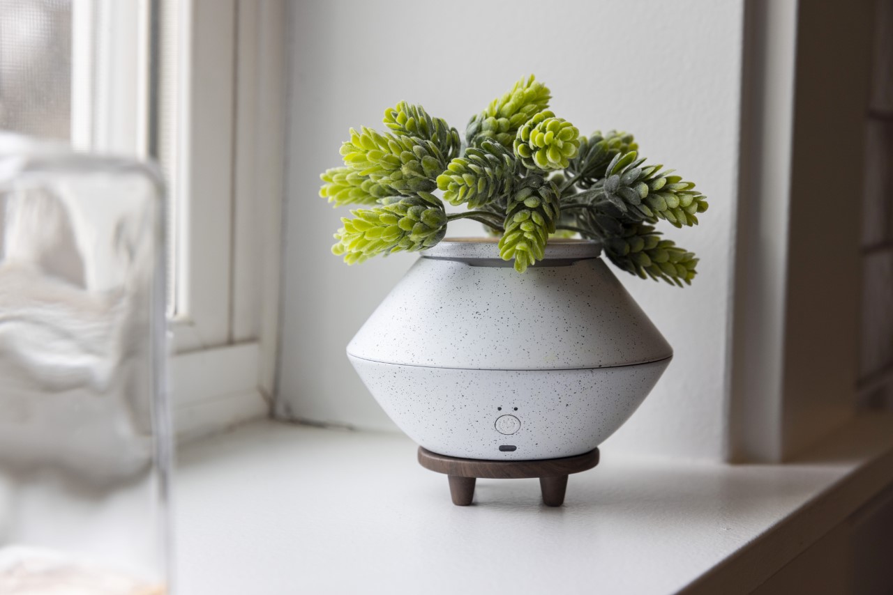 Air freshener，bloom，Housewear & Furnishings，originality，