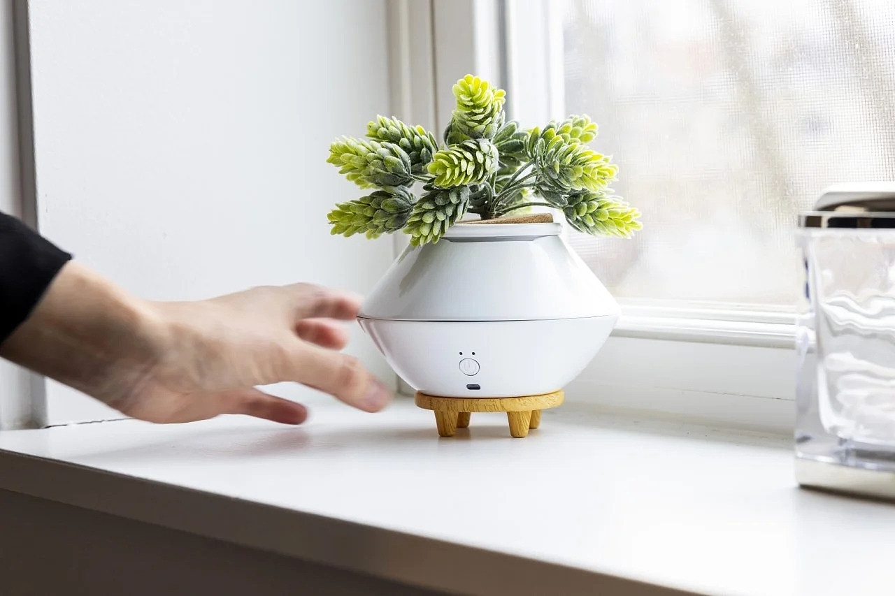Air freshener，bloom，Housewear & Furnishings，originality，