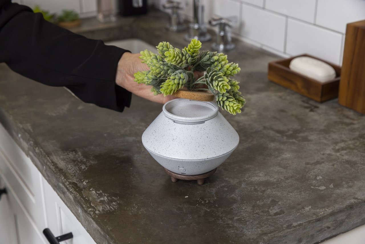 Air freshener，bloom，Housewear & Furnishings，originality，