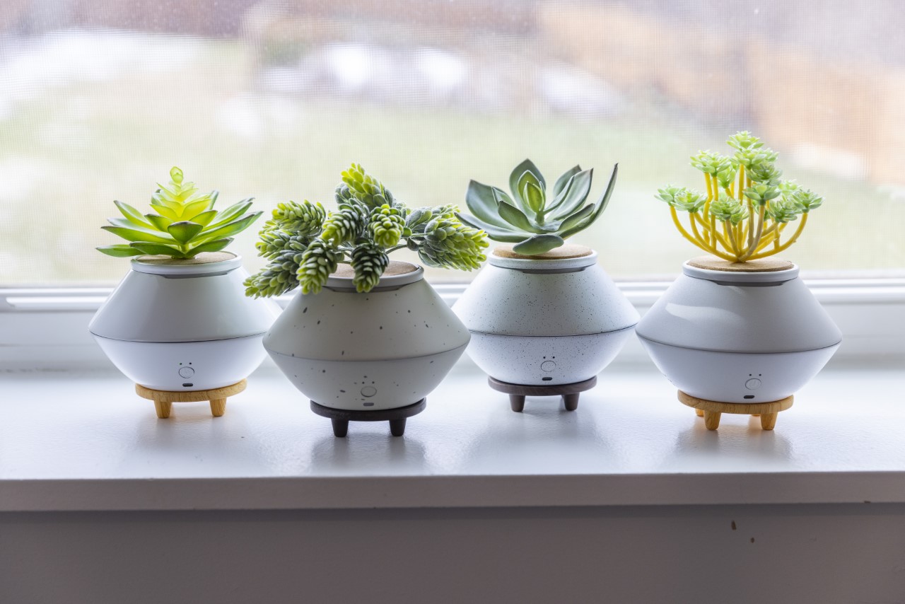 Air freshener，bloom，Housewear & Furnishings，originality，