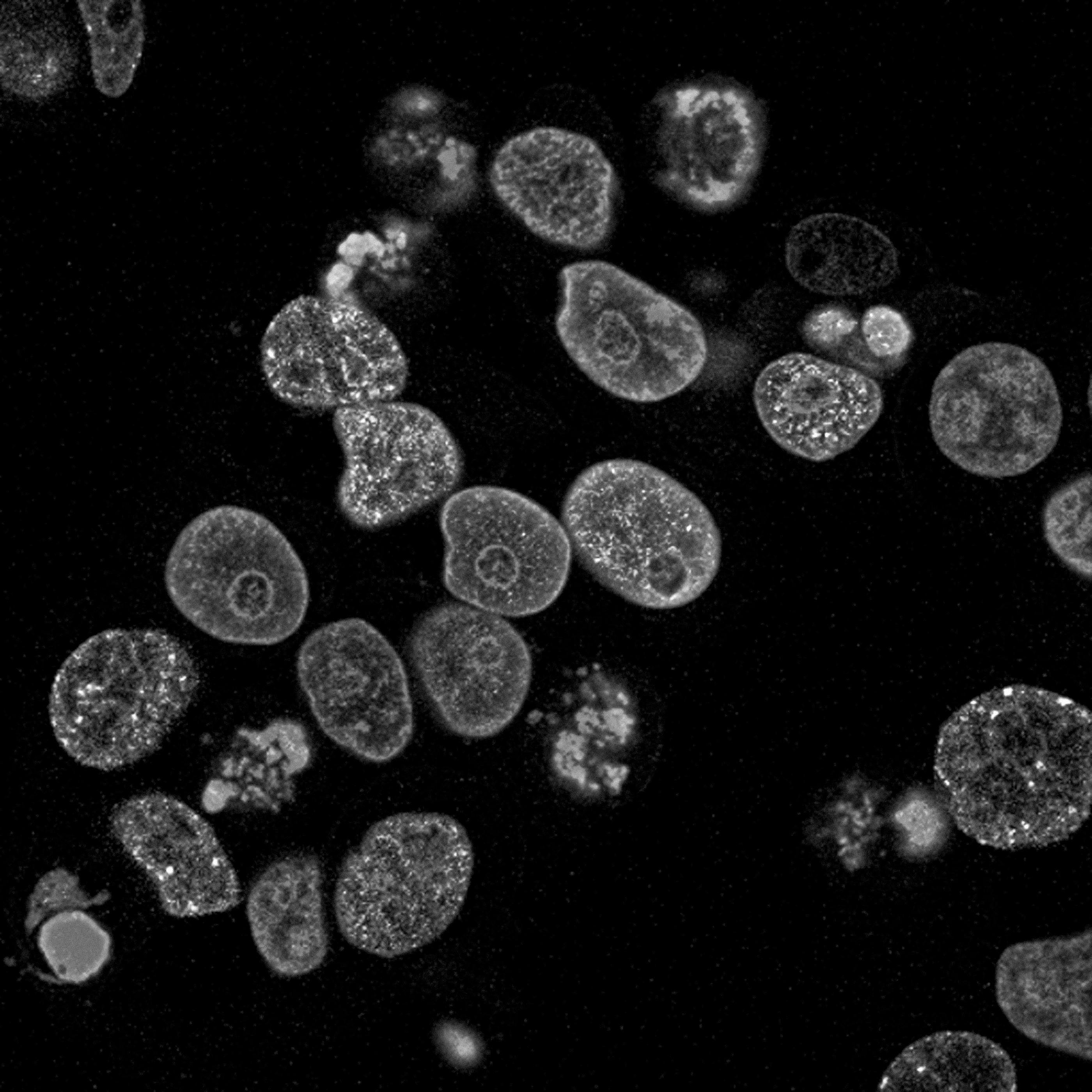 VICLONE，Intelligent Watch，originality，electronic product，