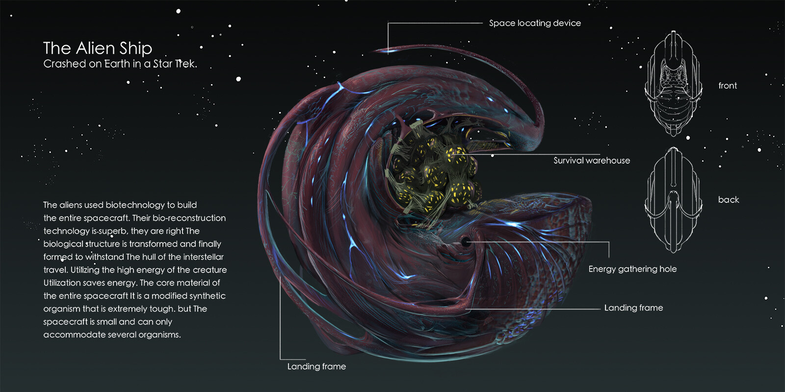 ACCD，ArtCenter，NuanBai，