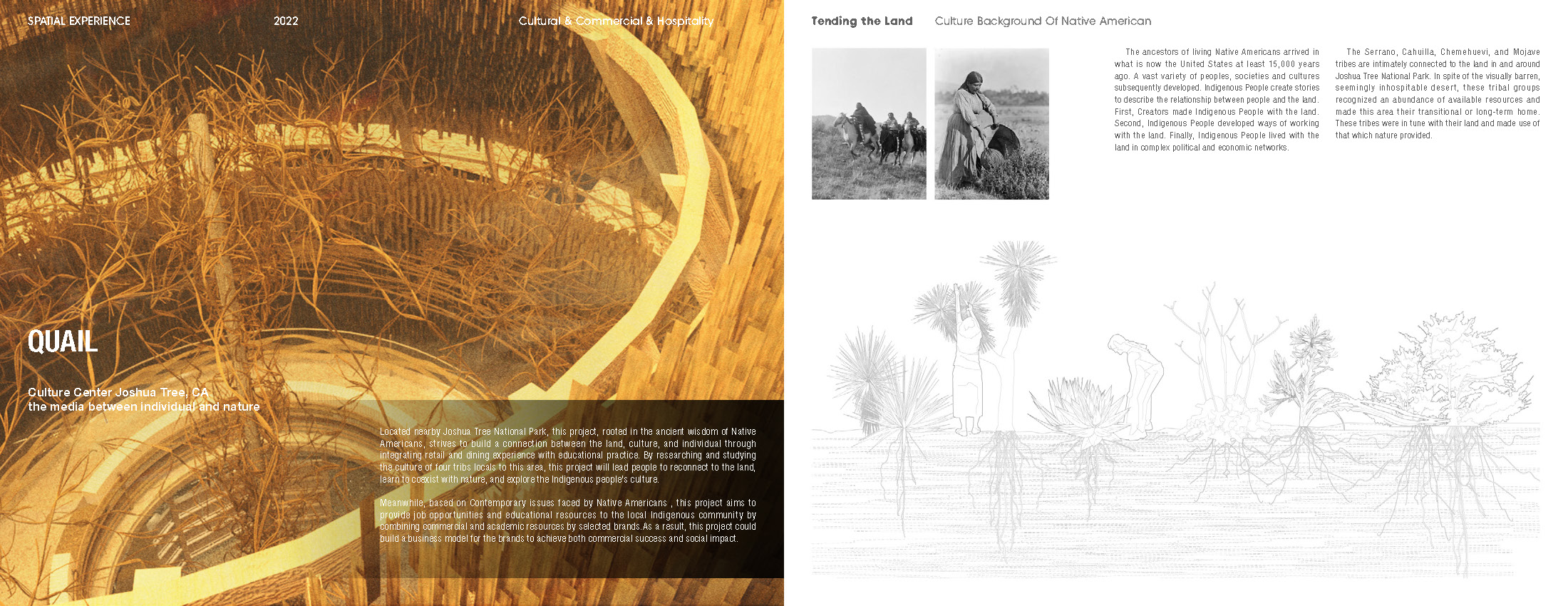 ACCD，ArtCenter，Cifer，