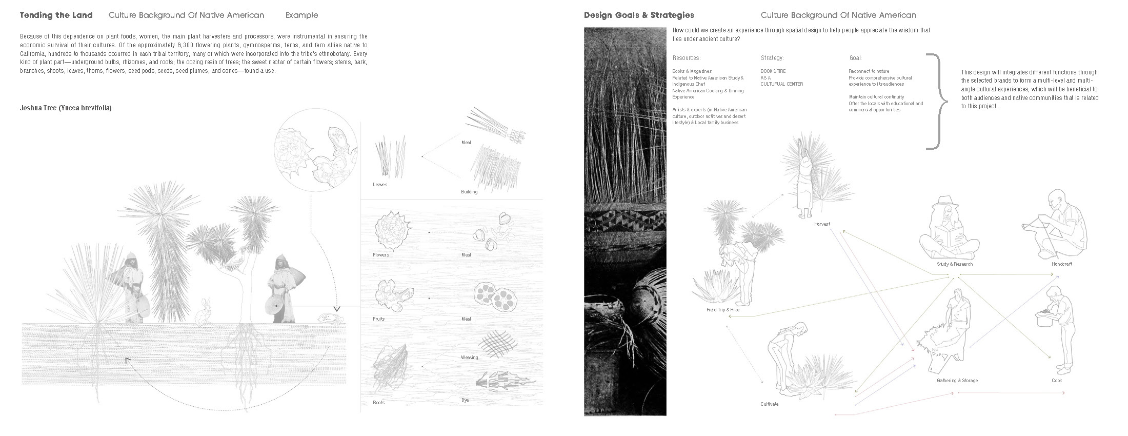 ACCD，ArtCenter，Cifer，