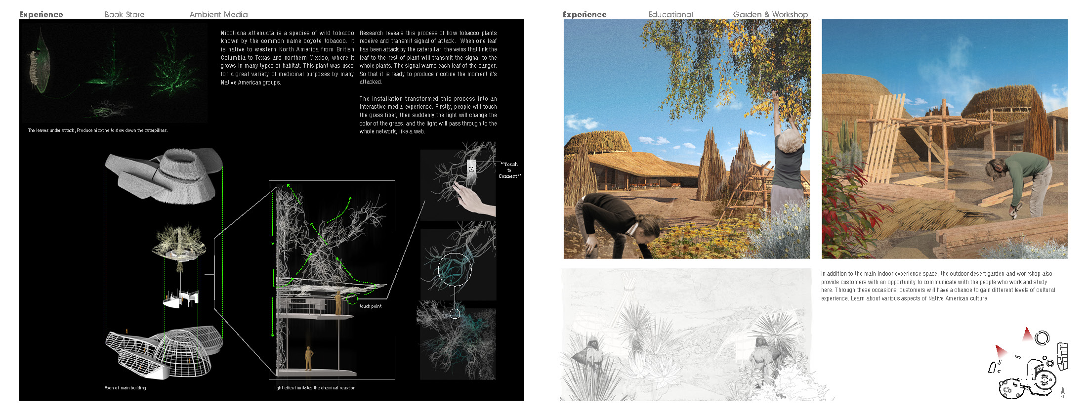 ACCD，ArtCenter，Cifer，