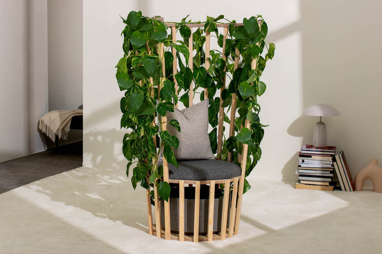 natural，chair，Botany，product，product design，design，