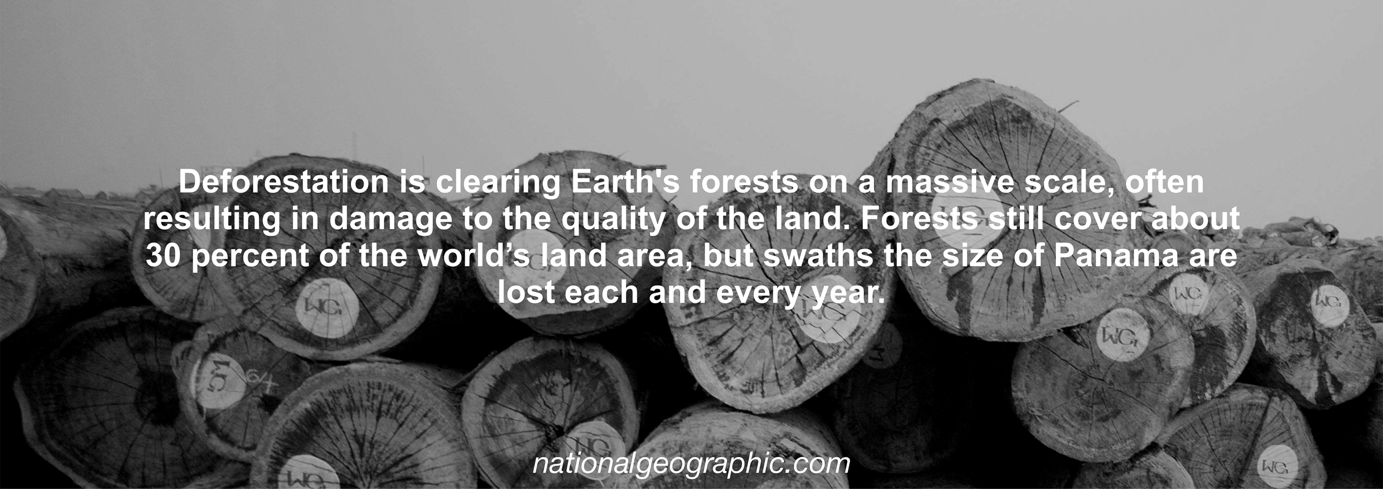 air cleaner，electrolux，white，