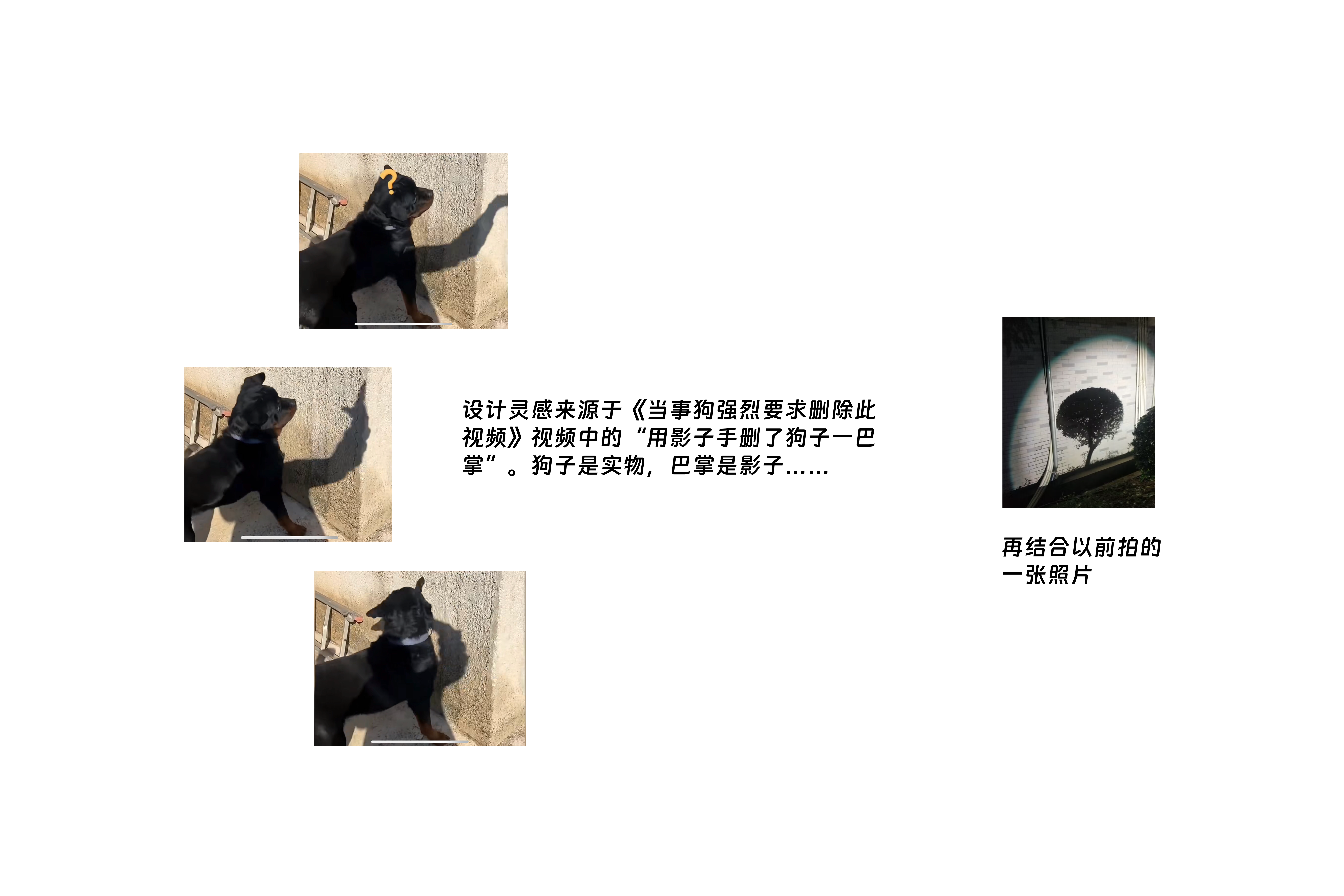 Night light，vase，