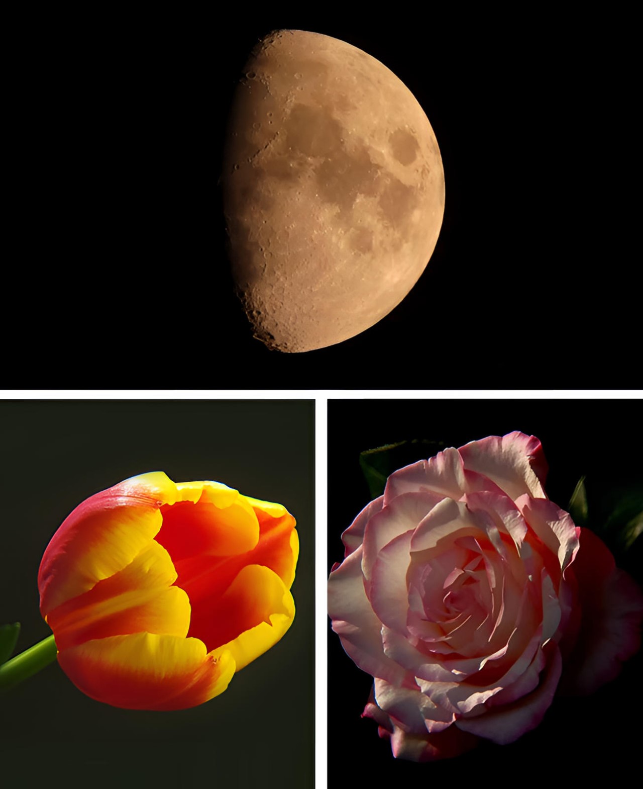 telescope，Photography，Intelligent mobile phone，