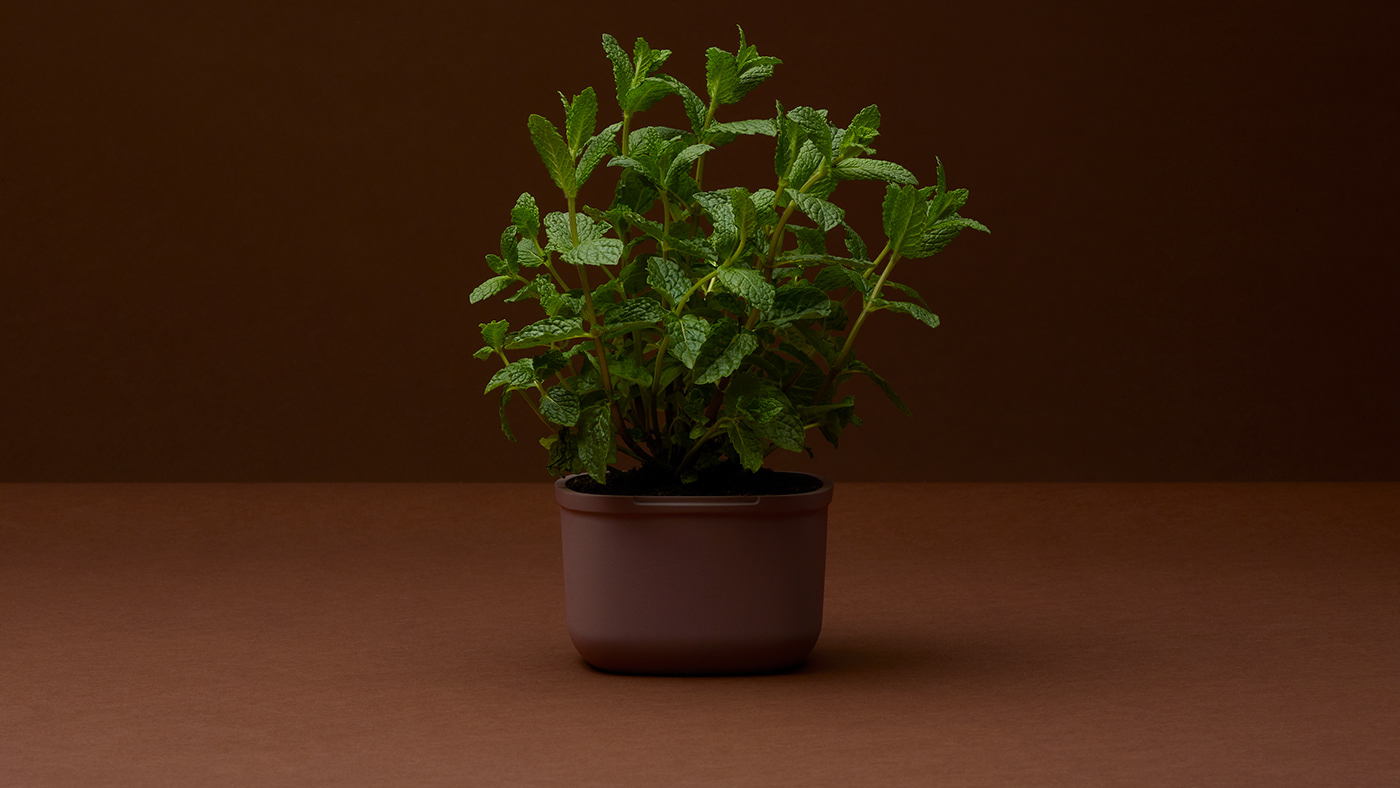 industrial design，product design，Coffee，Coffee，packing，Bamboo，