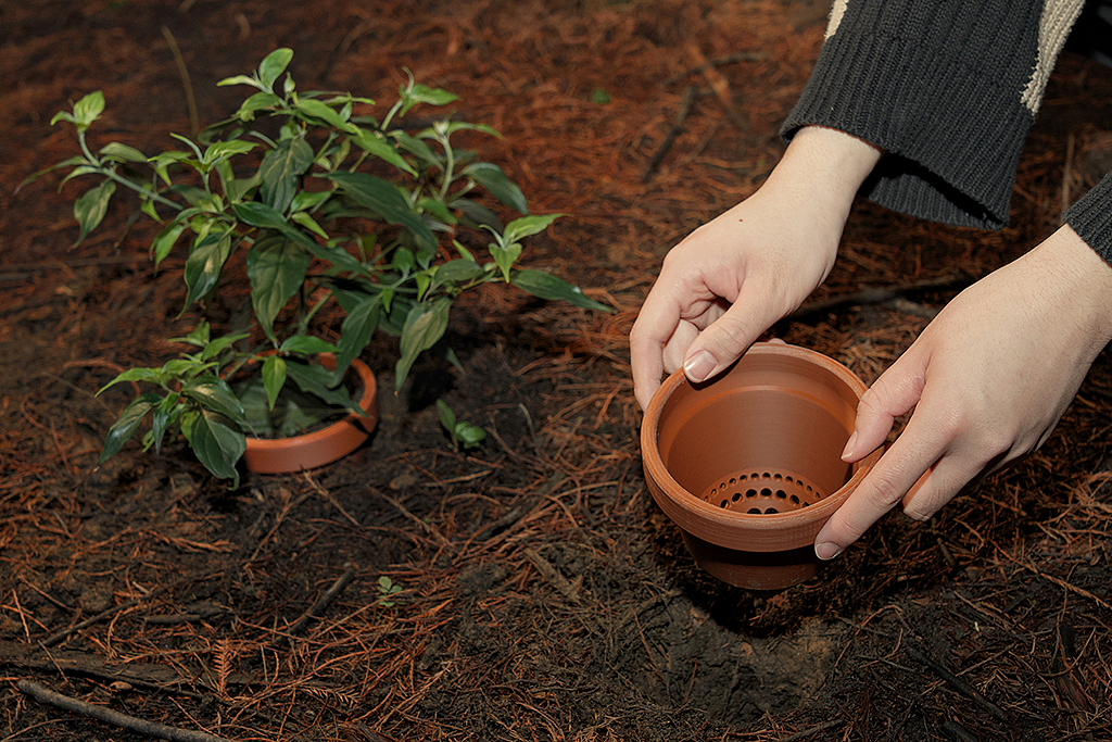 Flowerpot，gardening，