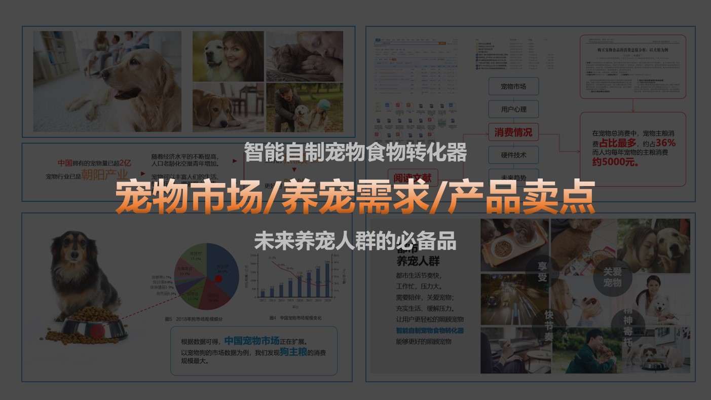 Pet，Homemade food，Graduation project，cooking，pet food，