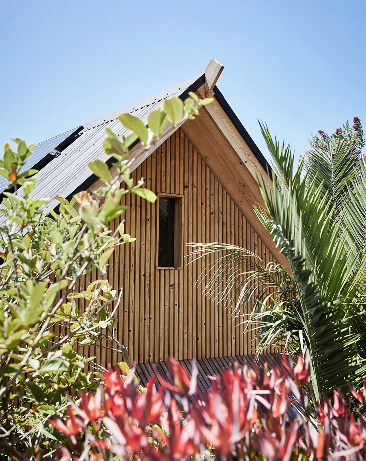 Architecture，Interior design，Alexander McGee，environmental design，