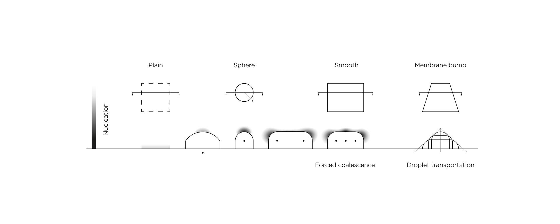 Dehumidifier，film，elytra，