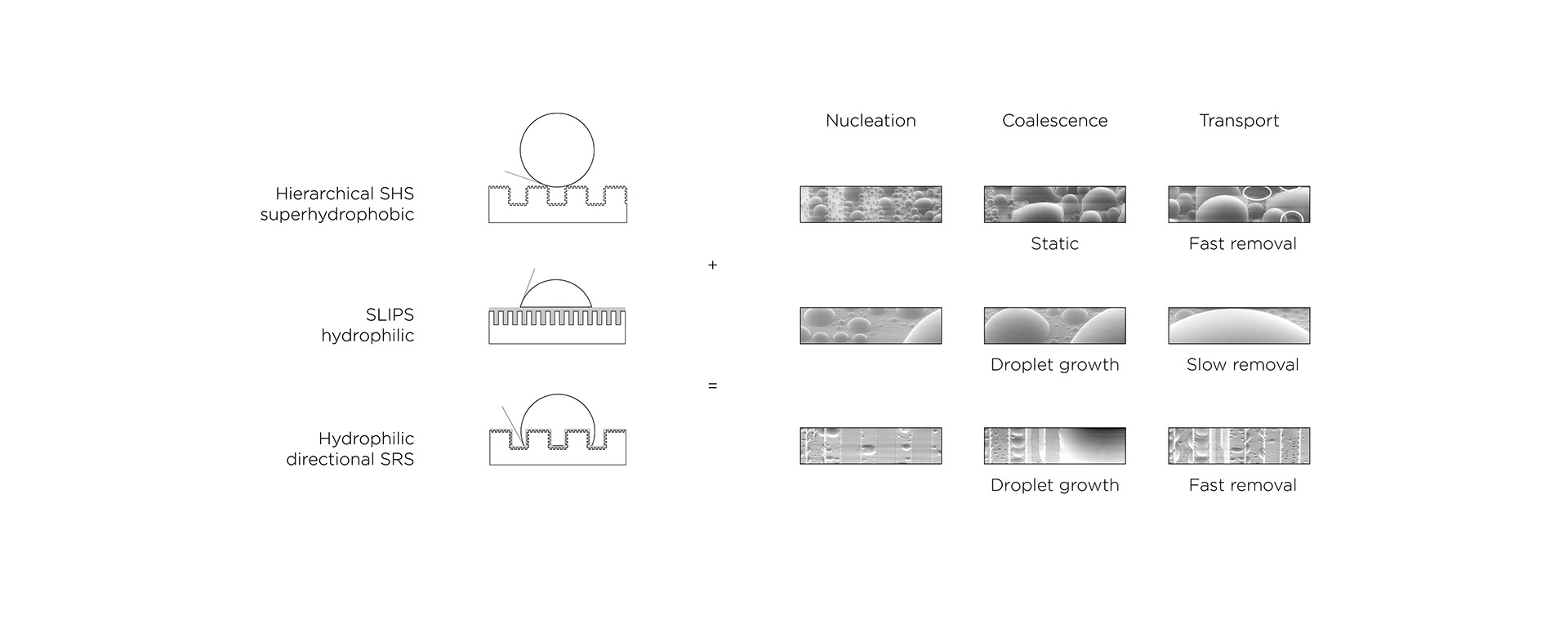Dehumidifier，film，elytra，