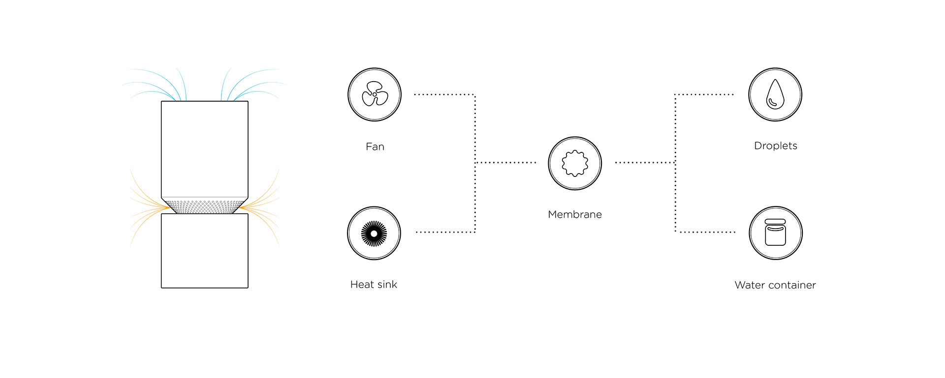 Dehumidifier，film，elytra，