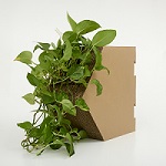 Golden Reed Industrial Design Award，Nomination Award，Home Life Class，Product Group，