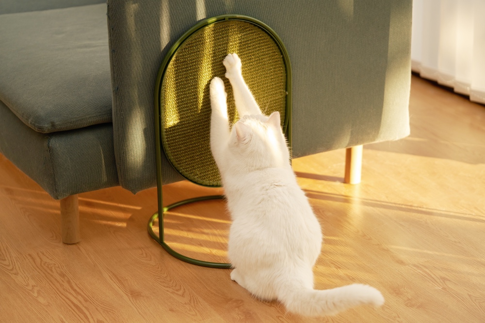 Golden Reed Industrial Design Award，Nomination Award，Home Life Class，Product Group，