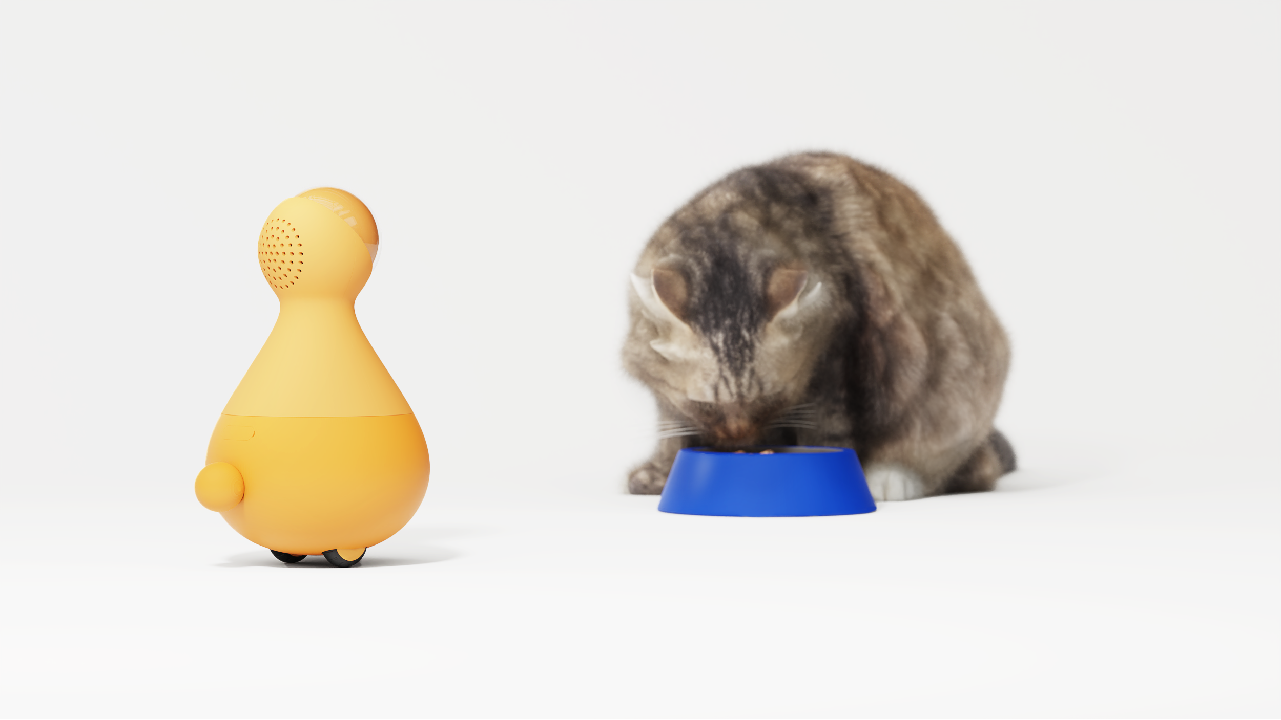 industrial design，product design，Cats with robots.，Pet toys，Pet Supplies & Pet，Video surveillance，Monitoring equipment，Digital intelligence，