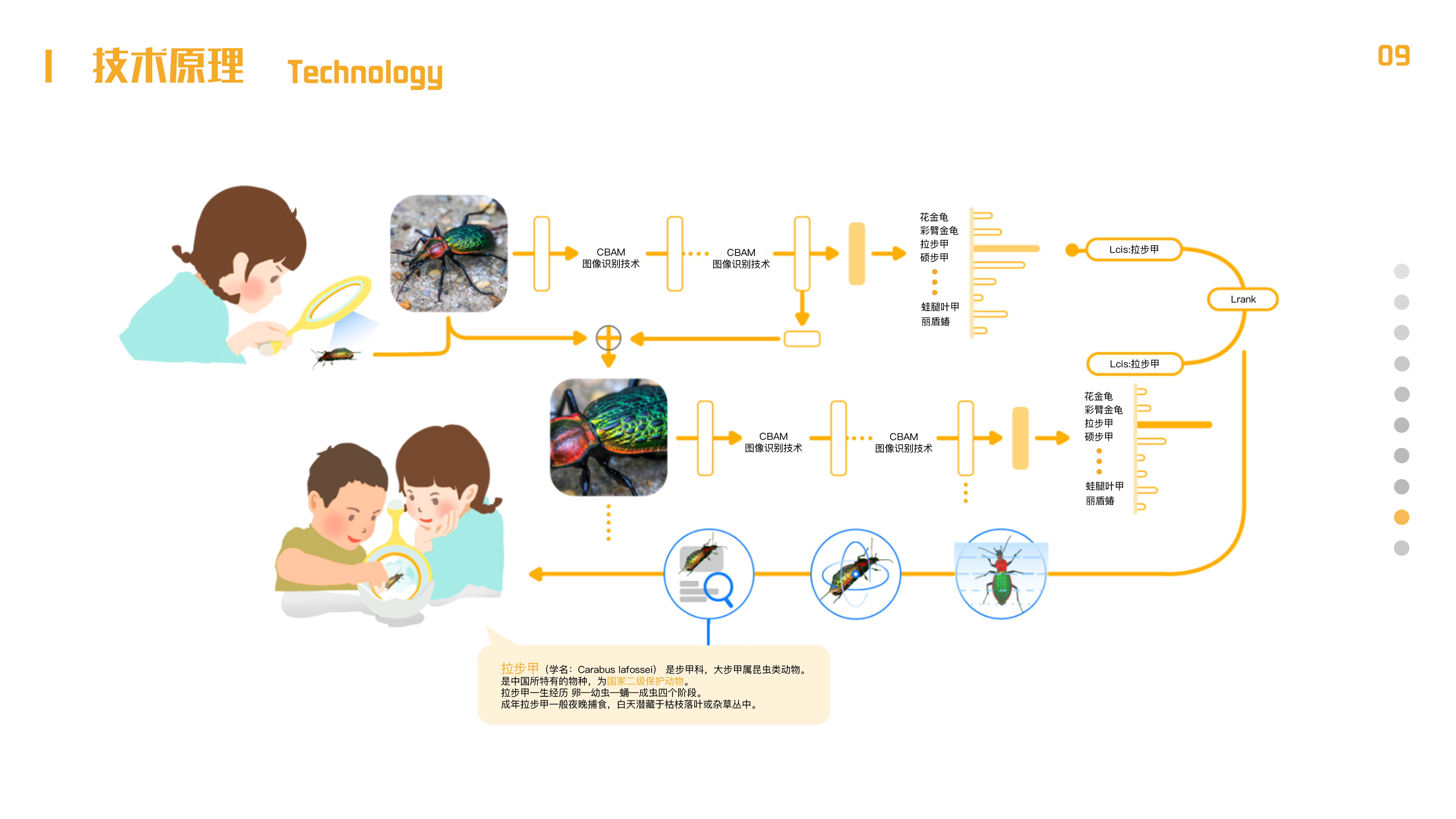 Intelligent design，image recognition，Holographic projection，Educational products，Children's Toys，