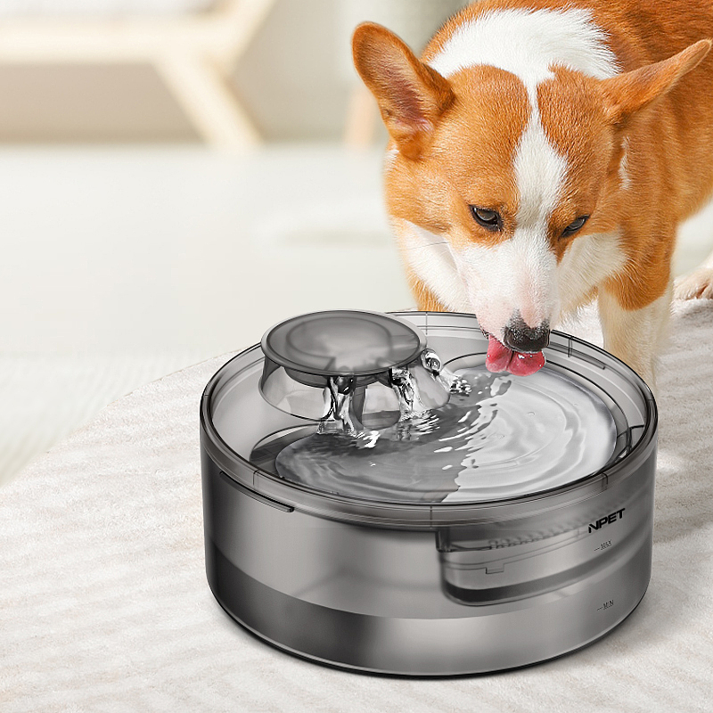 Pet water dispenser，high-capacity，Drink the water.，