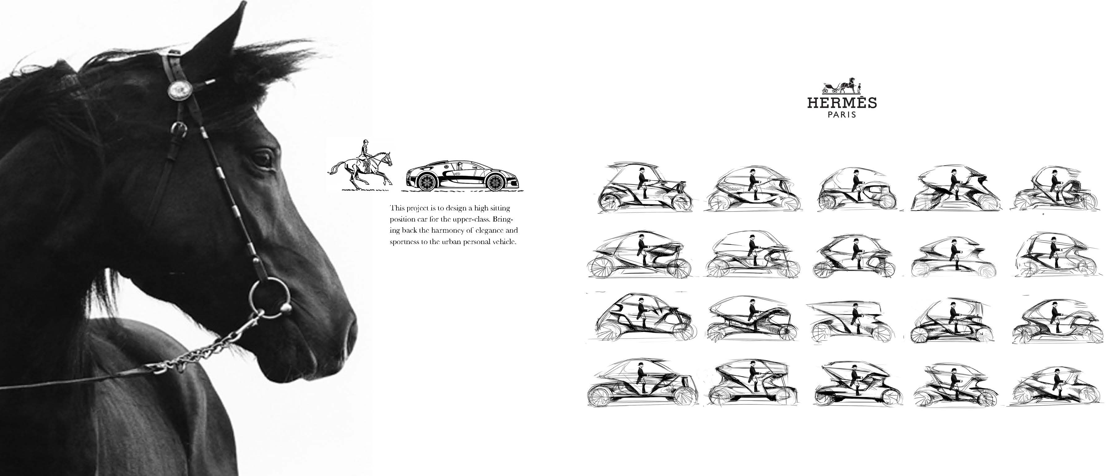 CITYCAR，hermes，Hermes，