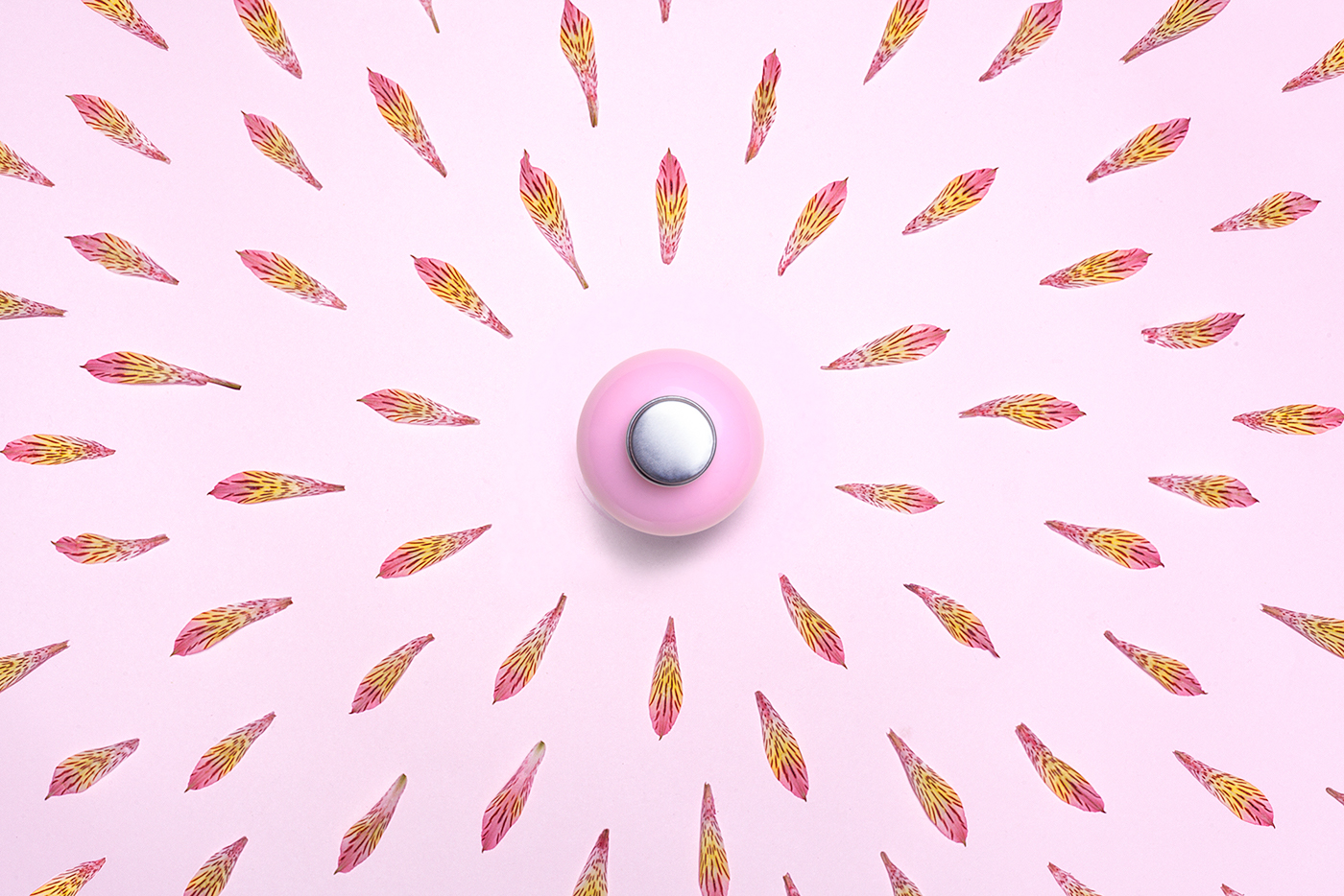 color，packing design，Toiletries，Render，container，shampoo，