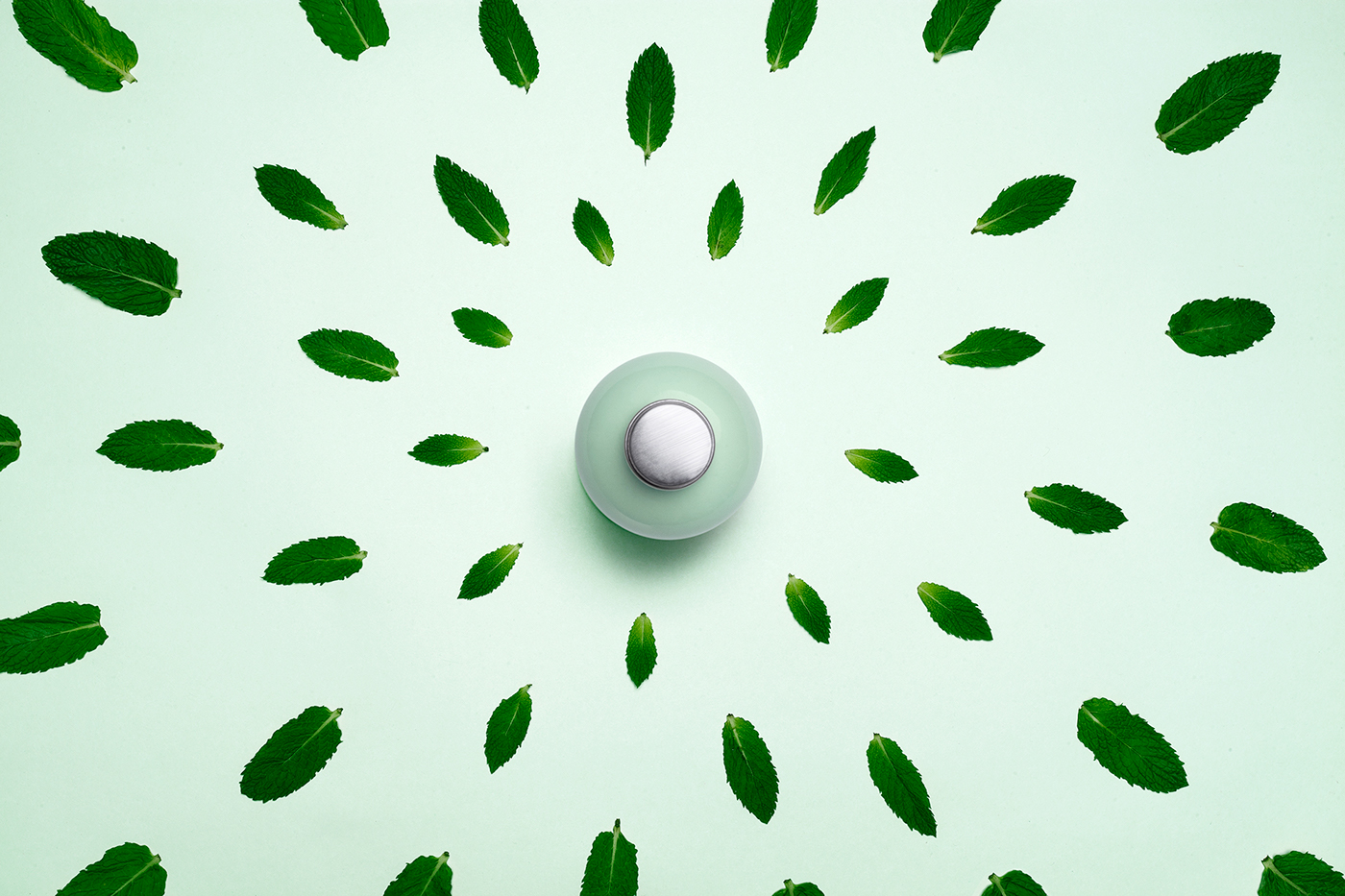 color，packing design，Toiletries，Render，container，shampoo，