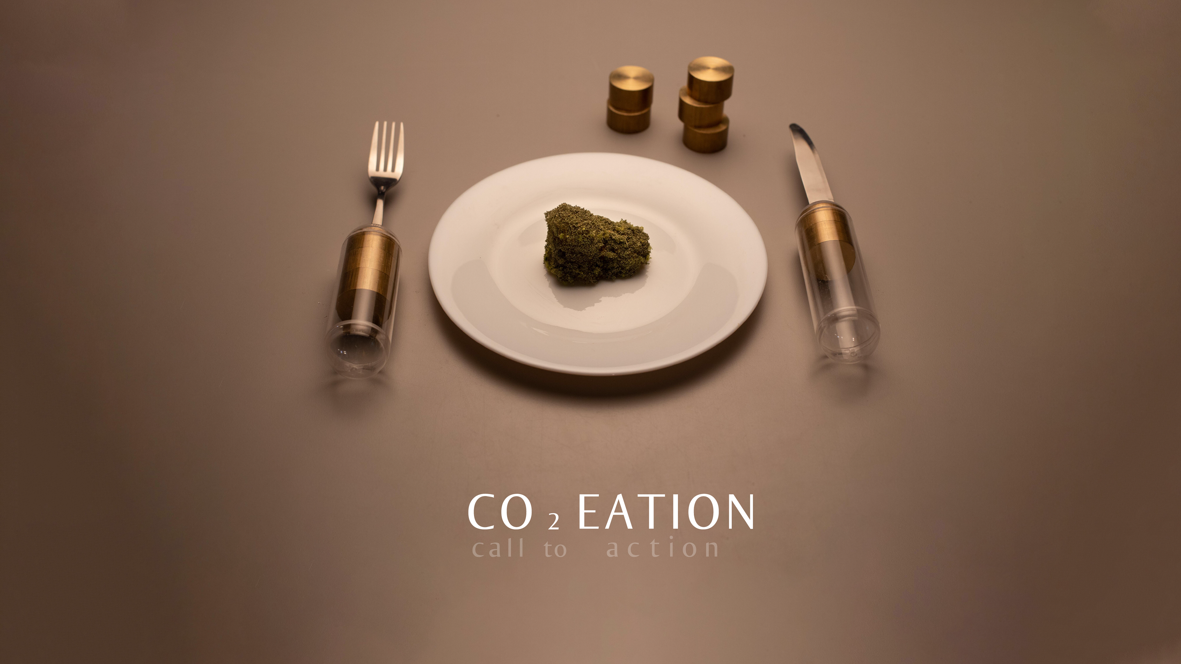 CO2 EATION，tableware，Interaction design，Carbon emissions，