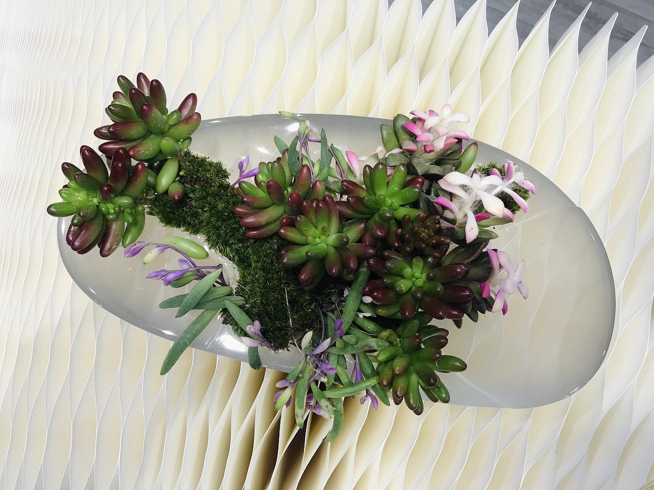 Original design，Aesthetic living home，Dry tea set，Creative culture，Art decoration，Glass ceramic plant，Quality lifestyle，Innovative design，