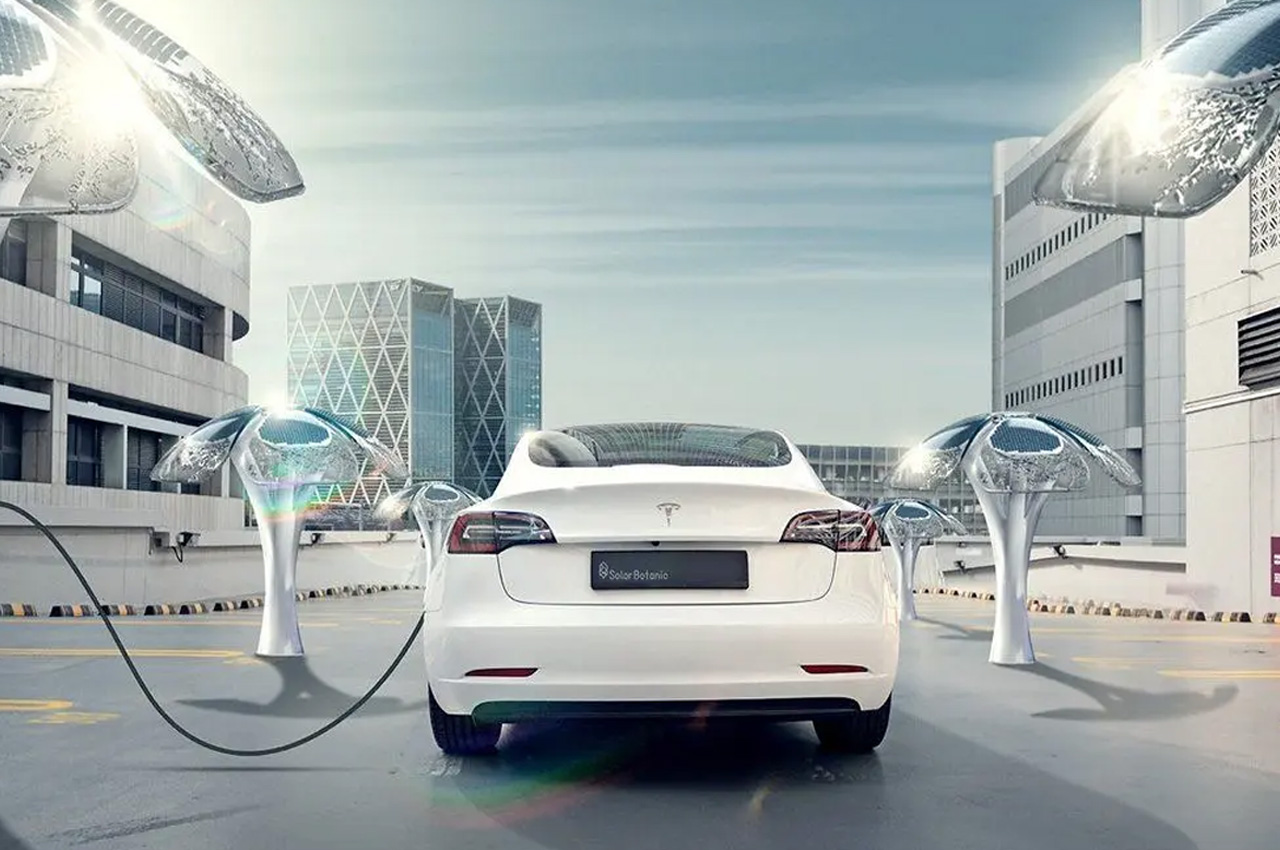 solar energy，tree，electric energy，