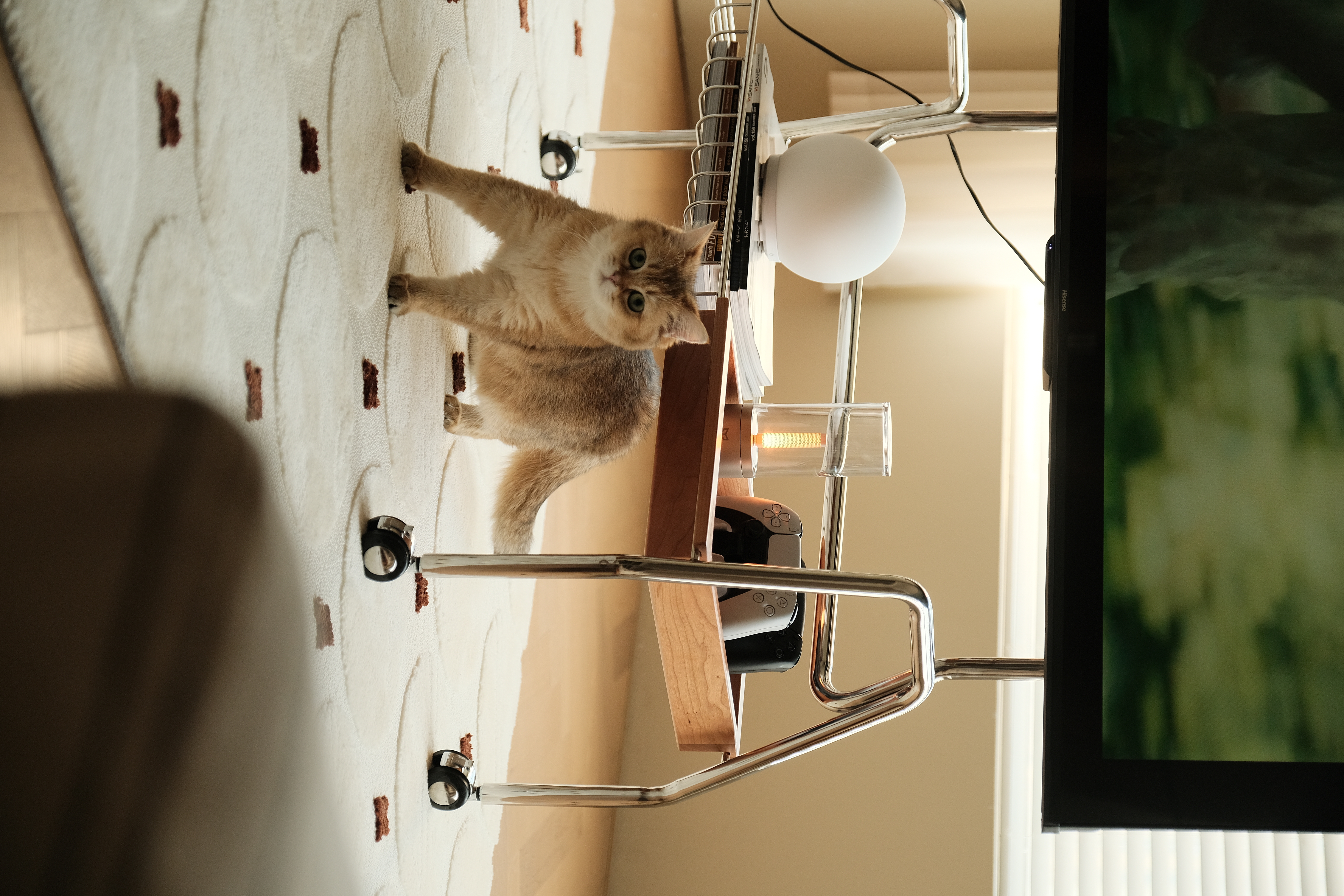 furniture design ，