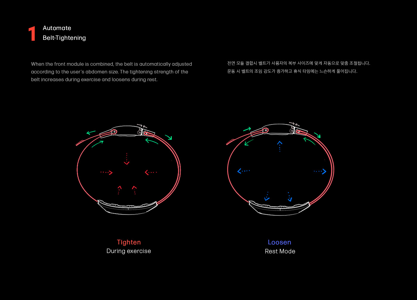 belt，intelligence，Bodybuilding，