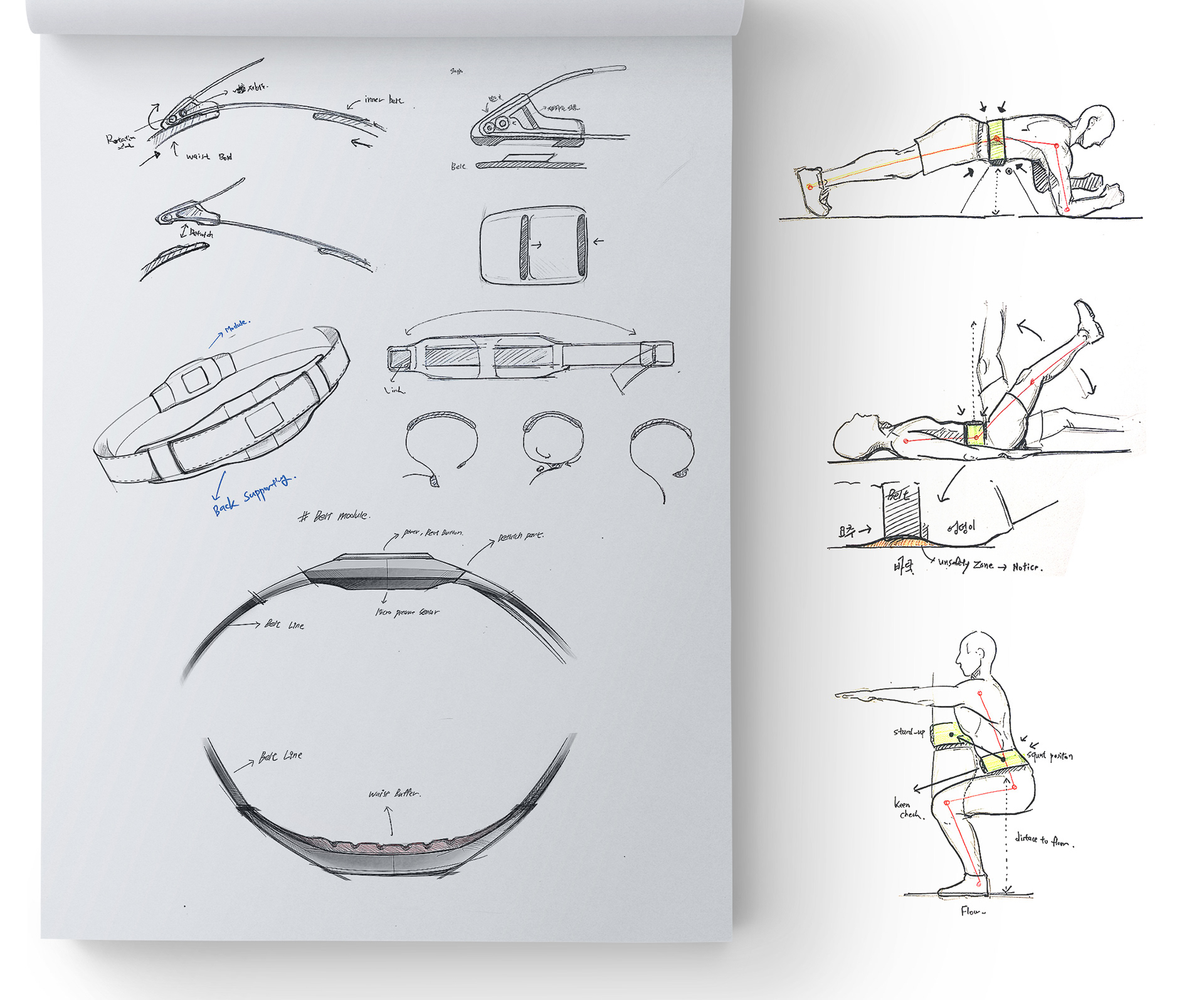 belt，intelligence，Bodybuilding，