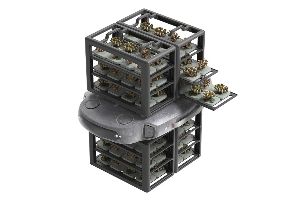 UAV，Coral，plant，