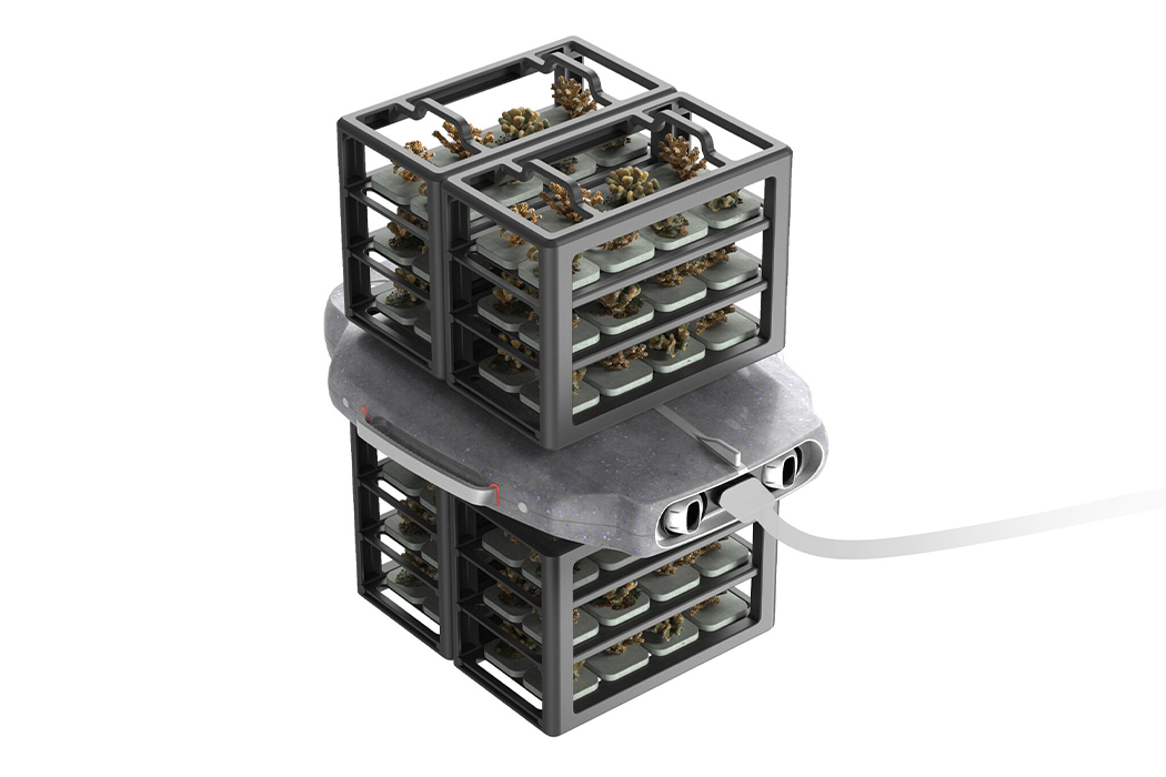 UAV，Coral，plant，