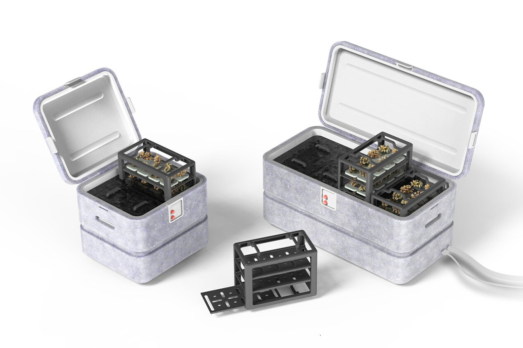 UAV，Coral，plant，