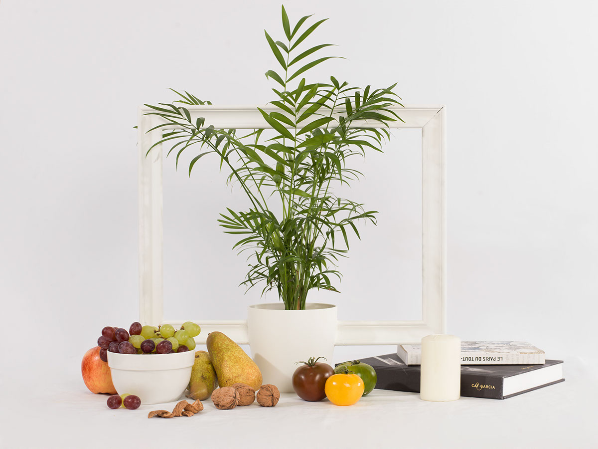 shuttlecock，Feather，USB drive，beat all，furniture，assemble，Wood marble combination，Easy to assemble，Picture frame，Flowerpot，Potted plants，two-dimensional，three-dimensional，Porcelain，tableware，Pinecone，Hand drawing，