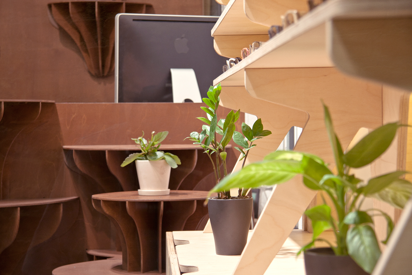 furniture，Home Furnishing，glasses，display，woodiness，assemble，