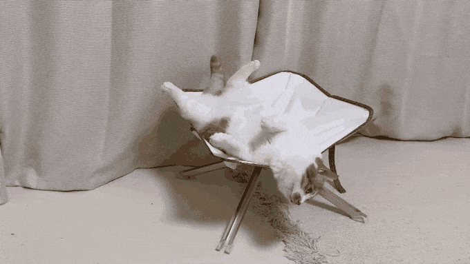 Foldable，foldablelander，Folding chair，