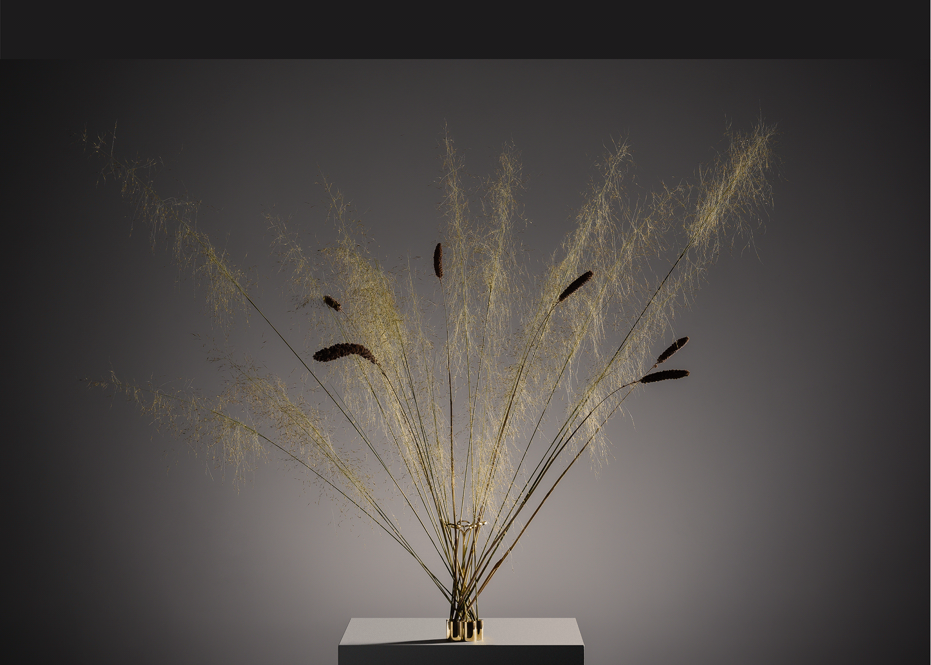 vase，furniture，flower，Metal，