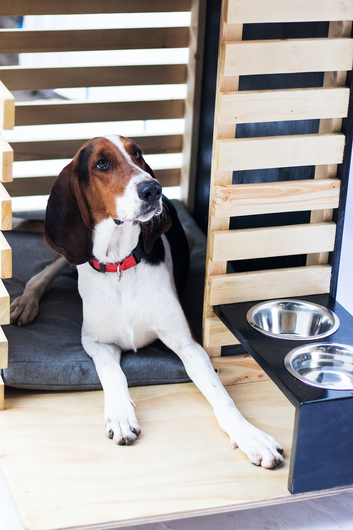 product design，industrial design，furniture，Pets，Caveolae，hut，