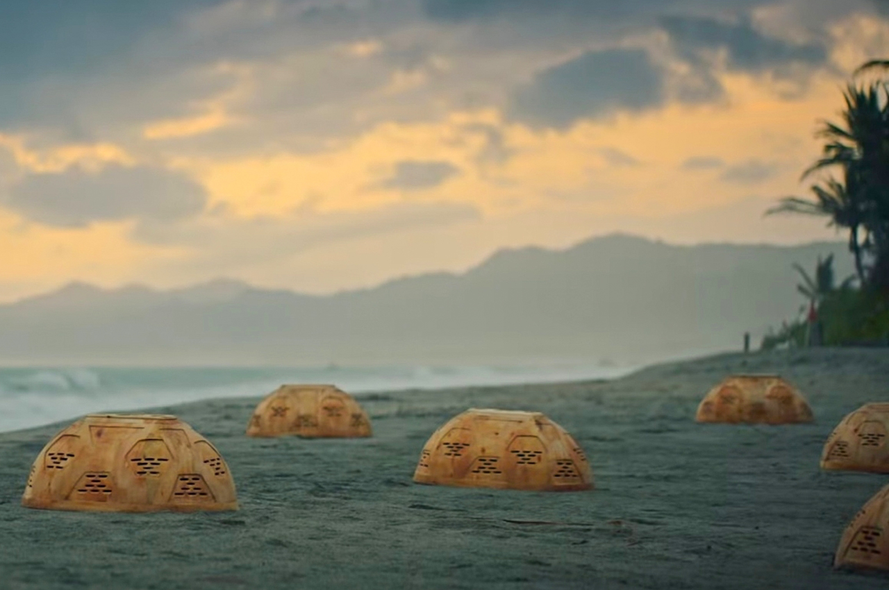 Nest Domes，environmental protection，Endangered Species Rescue，product design，