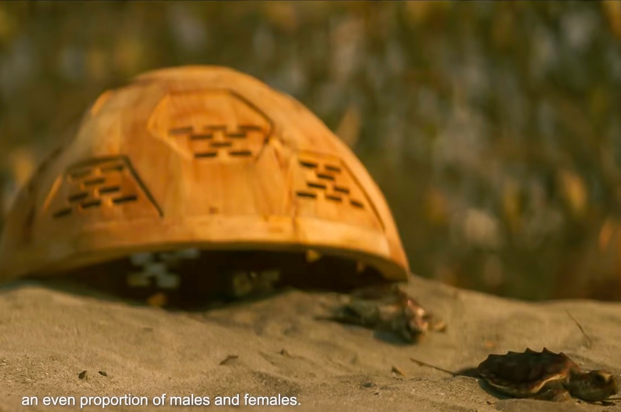 Nest Domes，environmental protection，Endangered Species Rescue，product design，