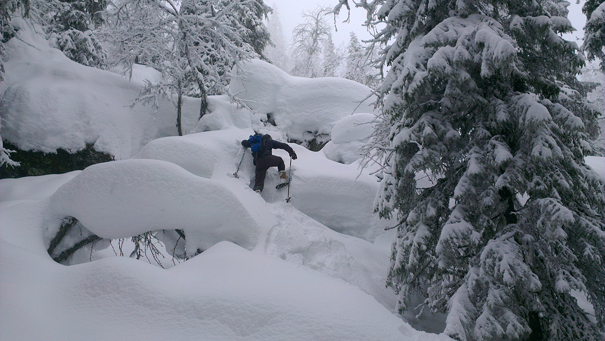 Fimbulvetr，Curvilinear，security，Snowshoes，