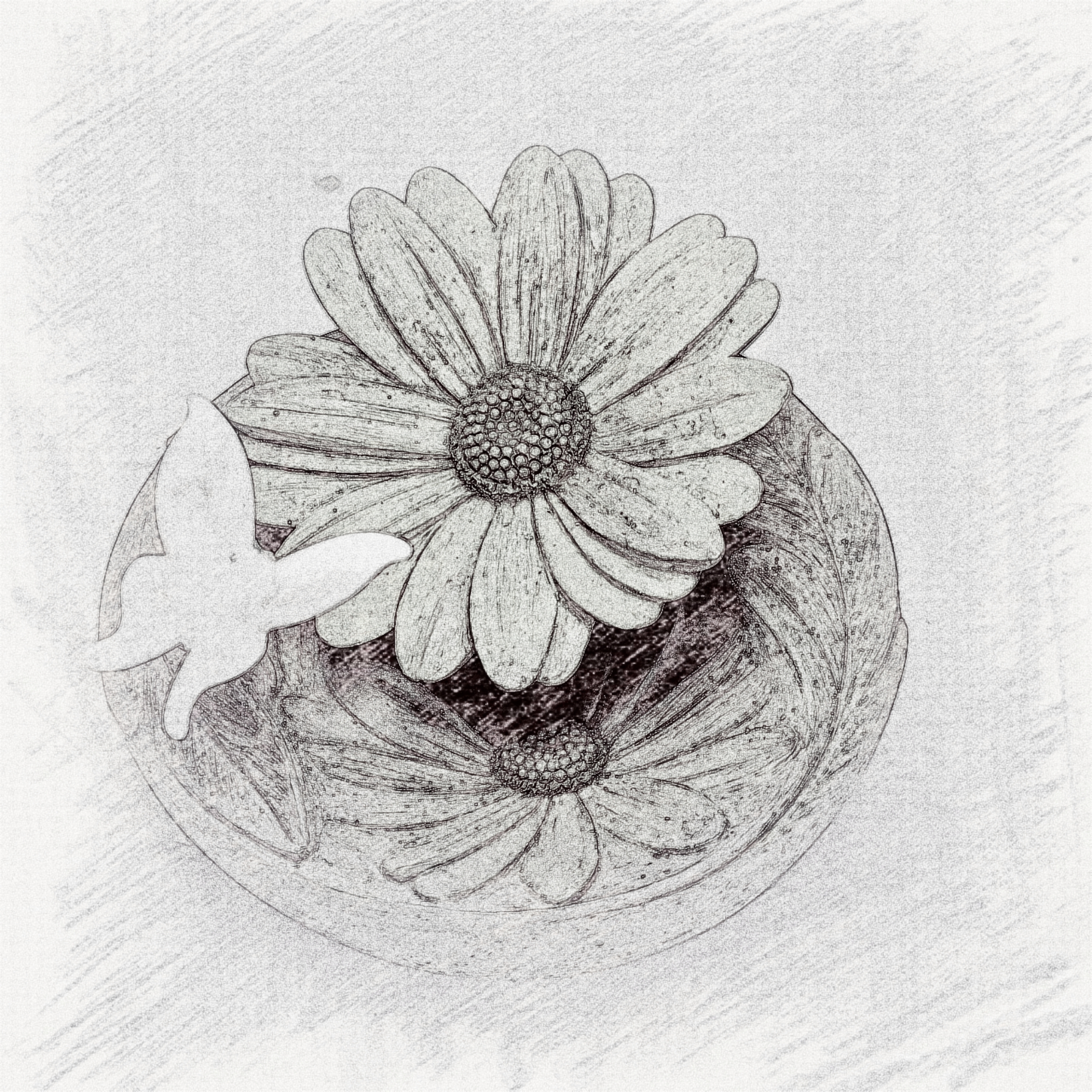 Aesthetic, extreme, decompression, field, fire prevention, theft prevention and girlfriends，