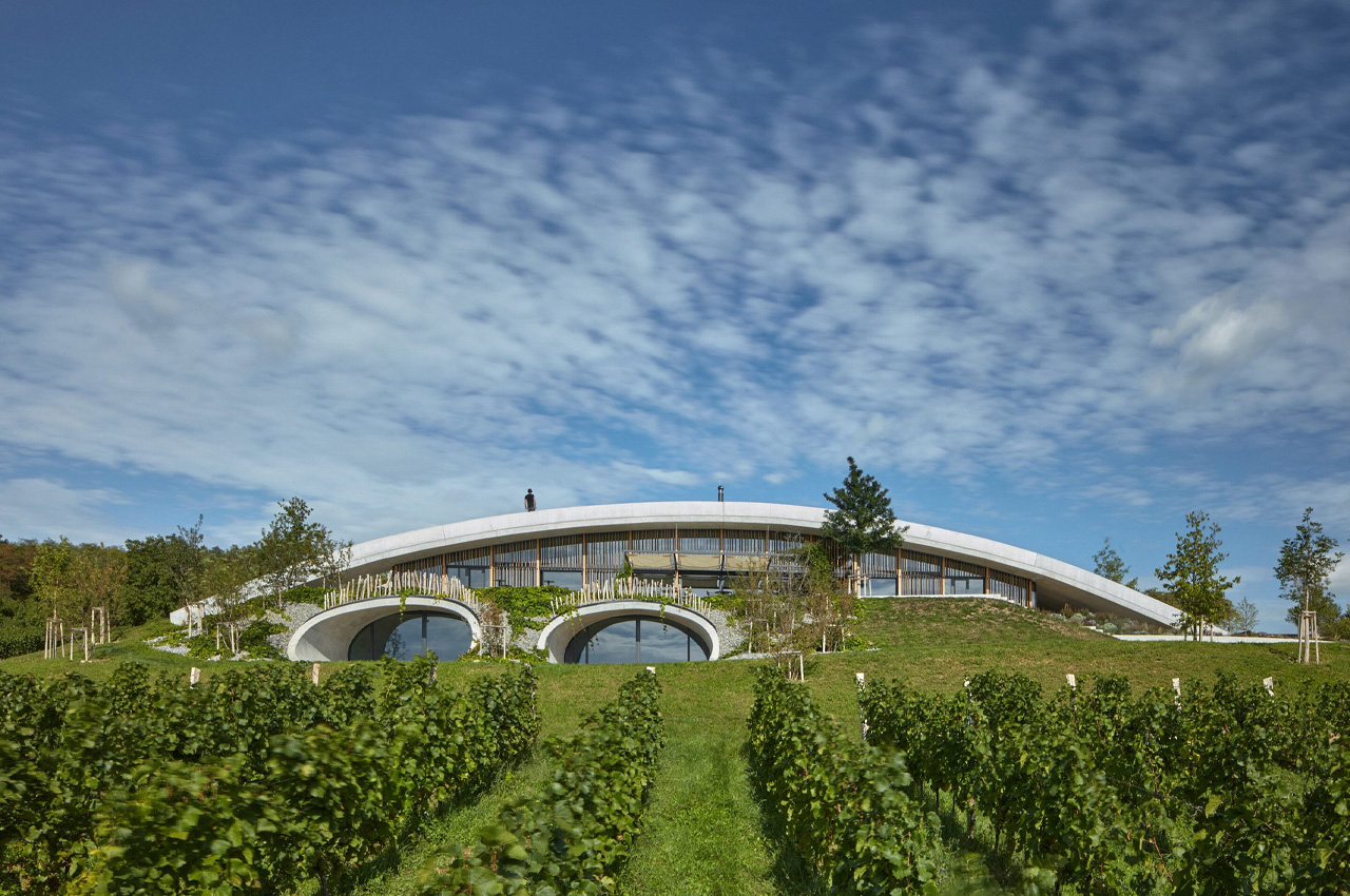 Winery，building design，Gourdo Winery，