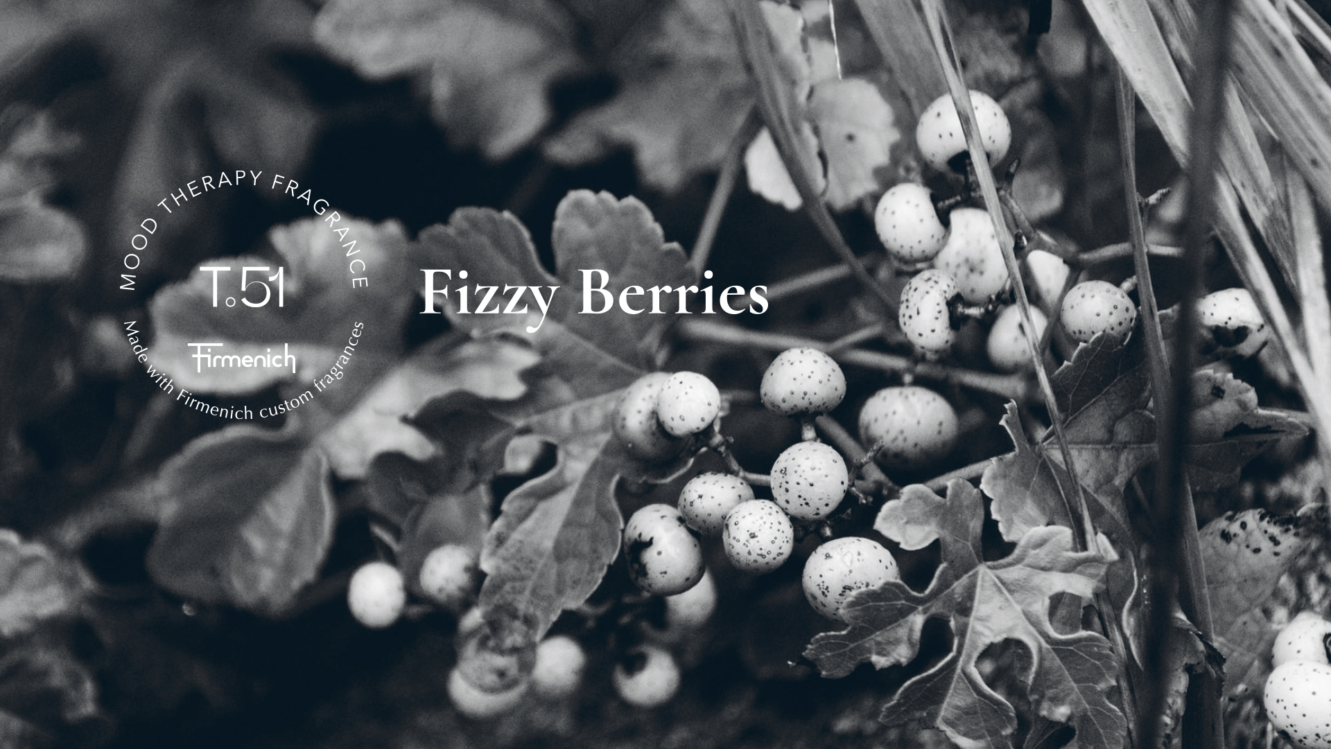 brand，packing，Illustration，c4d，，