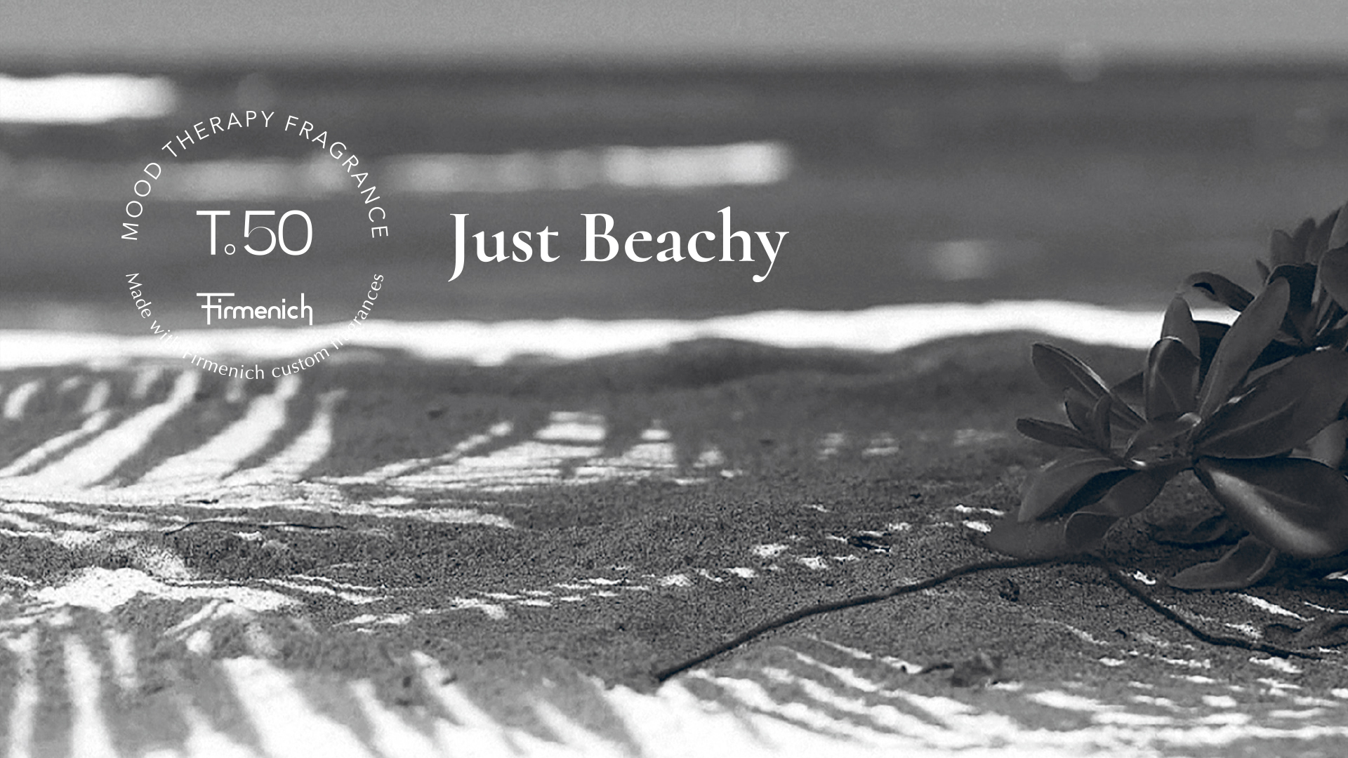 brand，packing，Illustration，c4d，，