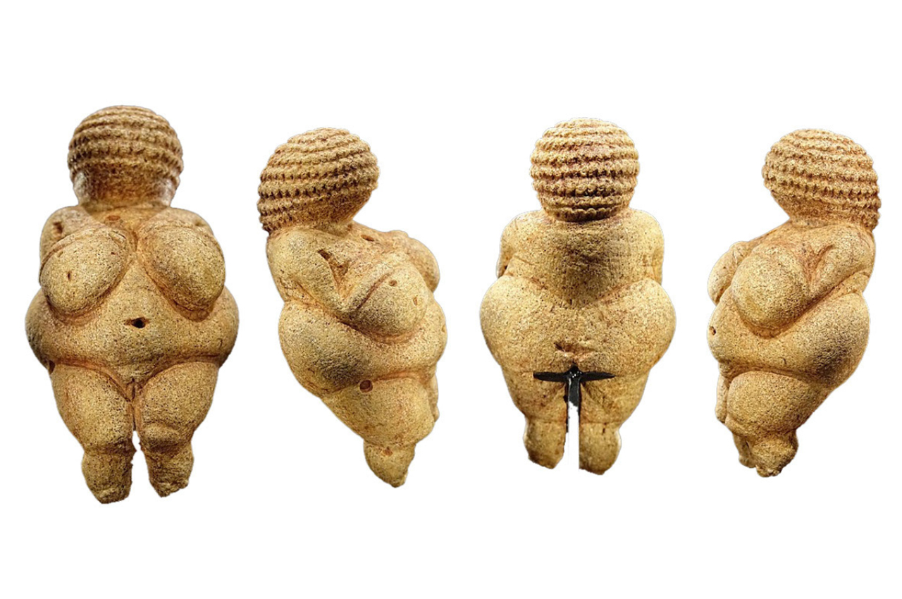 Venus，Folding chair，chair，furniture，